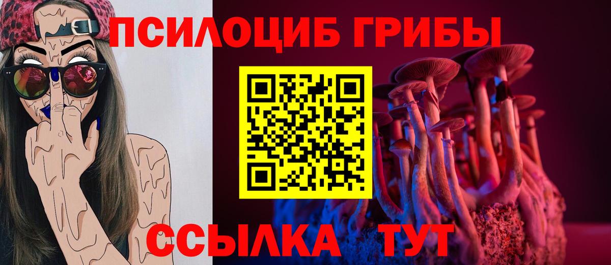 Галлюциногенные грибы прущие грибы  Вход с VPN  Зима  Галлюциногенные грибы ЛСД 